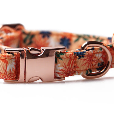Hundhalsband Flower Sunset Bloom