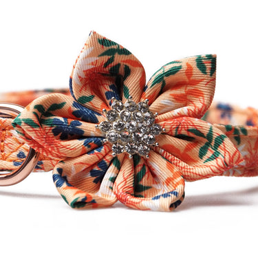 Hundhalsband Flower Sunset Bloom