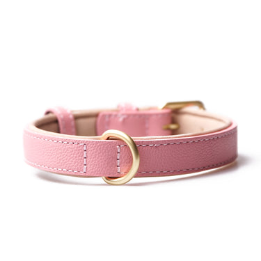 Dog collar Lou Cotton Pink with name tag