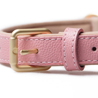 Dog collar Lou Cotton Pink with name tag