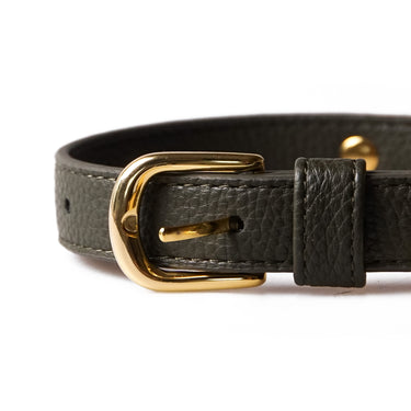 Dog collar Neo Forest Green