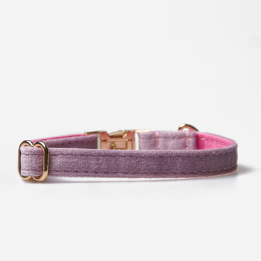 Hundhalsband Petit Soft Lilac