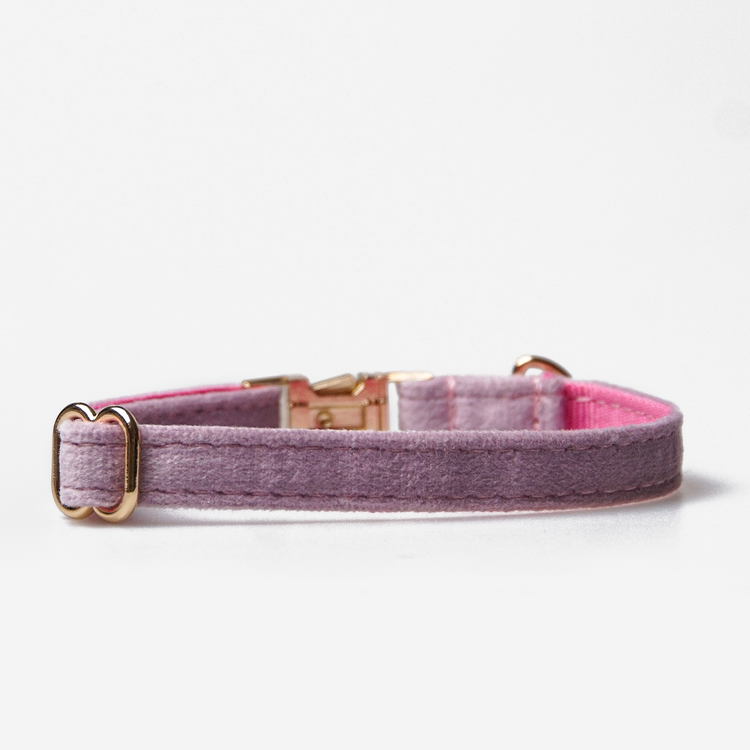 Hundhalsband Petit Soft Lilac