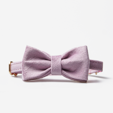 Hundhalsband Petit Soft Lilac