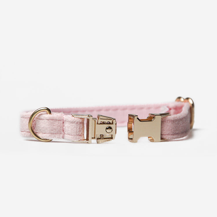 Hundhalsband Petit Soft Pink