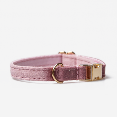 Hundhalsband Petit Soft Mauve