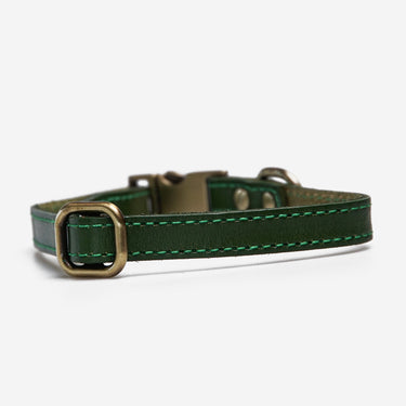 Dog collar Riko Green