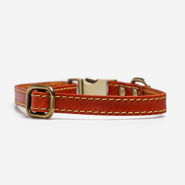 Dog collar Riko Orange