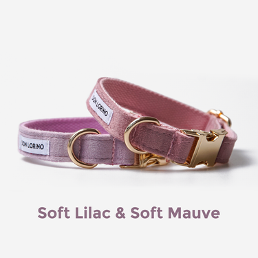 Hundhalsband Click Soft Lilac