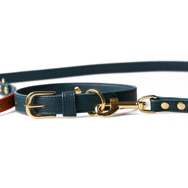 Dog leash Neo Ocean
