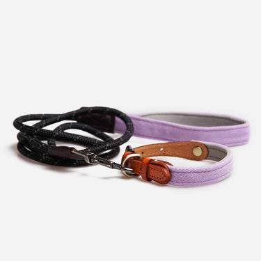 Hundhalsband Zen Purple