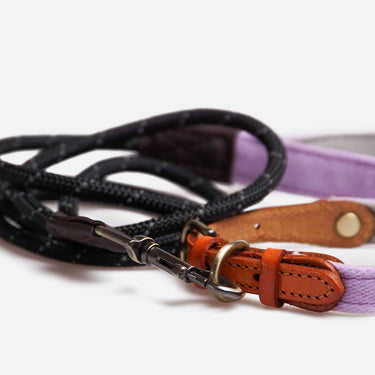 Hundkoppel Zen Purple 150 cm
