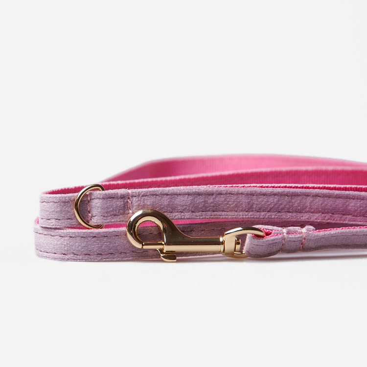 Hundkoppel Petit Soft Lilac