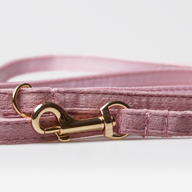 Hundkoppel Petit Soft Mauve 180cm
