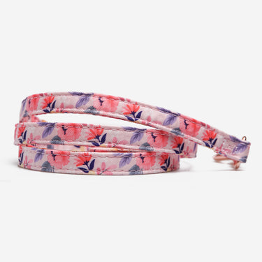 Dog leash Flower Blossom Pink 