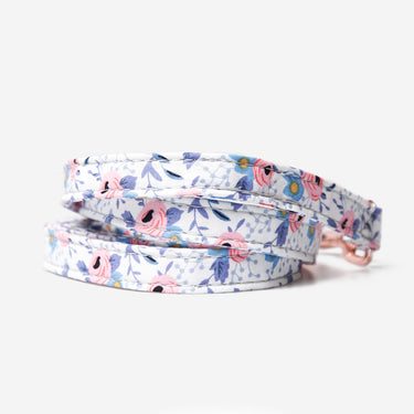 Dog leash Flower Delicate Blossom 