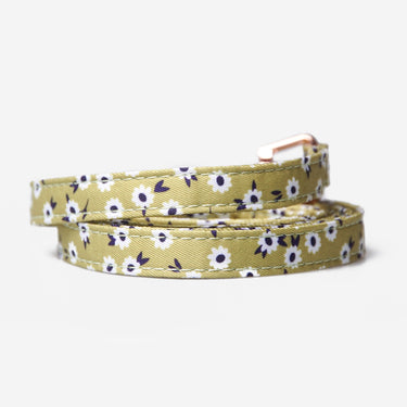 Dog Leash Flower Olive Bloom