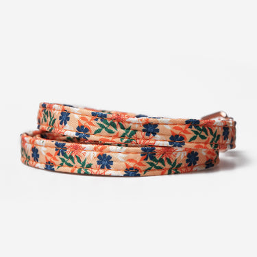 Dog leash Flower Sunset Bloom