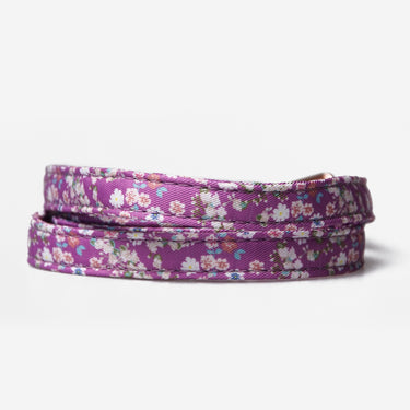 Dog leash Flower Violet Bloom 