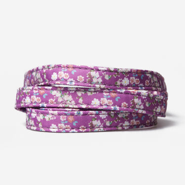 Dog leash Flower Violet Bloom 