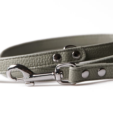 Dog Leash Mio Sage Green