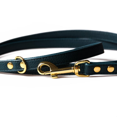 Dog leash Neo Ocean