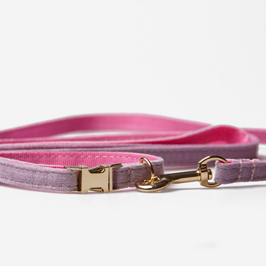 Hundkoppel Petit Soft Lilac