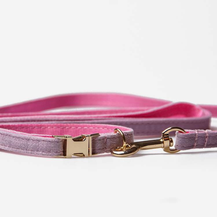 Hundkoppel Petit Soft Lilac