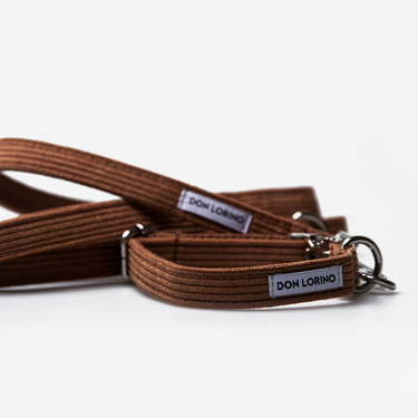 Dog leash Click Pop Mocha 180cm