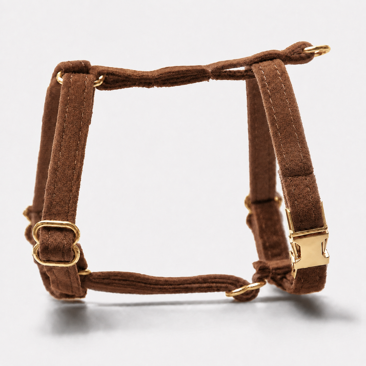 Hundsele Petit Soft Brown