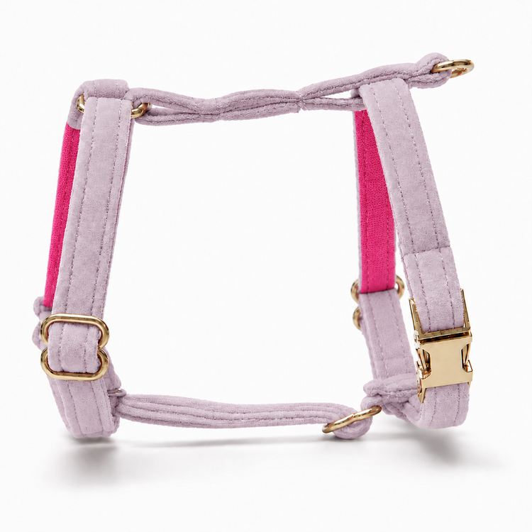 Hundsele Petit Soft Lilac