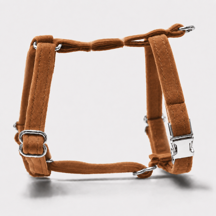 Hundsele Petit Soft Caramel