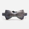 Katthalsband Mio Light Blue Don Lorino