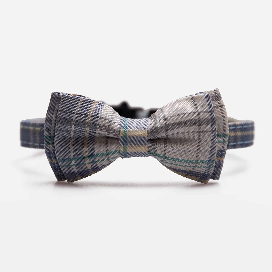 Katthalsband Mio Light Blue Don Lorino