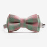 Katthalsband Penny Green Pink Don Lorino