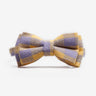 Katthalsband Penny Yellow Purple Don Lorino