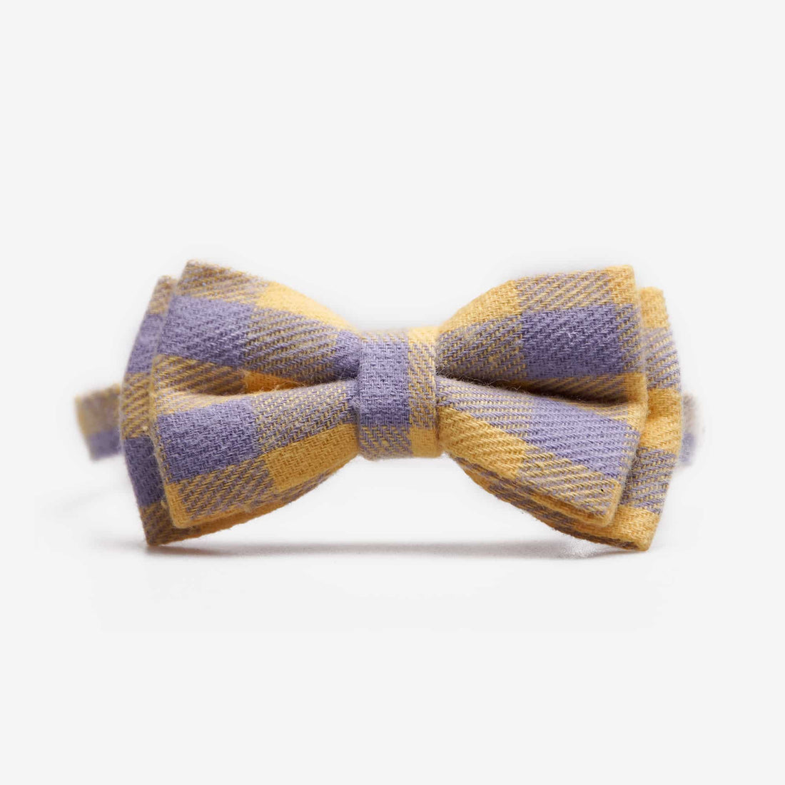 Katthalsband Penny Yellow Purple Don Lorino