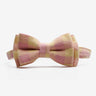 Katthalsband Penny Yellow Pink Don Lorino