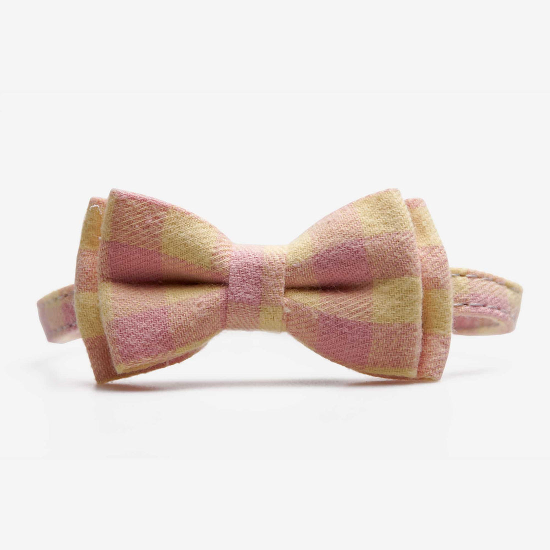 Katthalsband Penny Yellow Pink Don Lorino