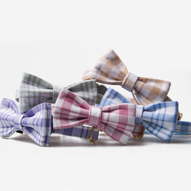 Cat collar Willow Blue with bow tie