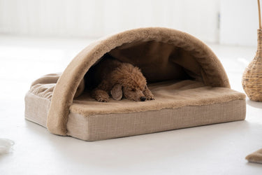 Hundkoja Relax – Maul Ledermanufaktur