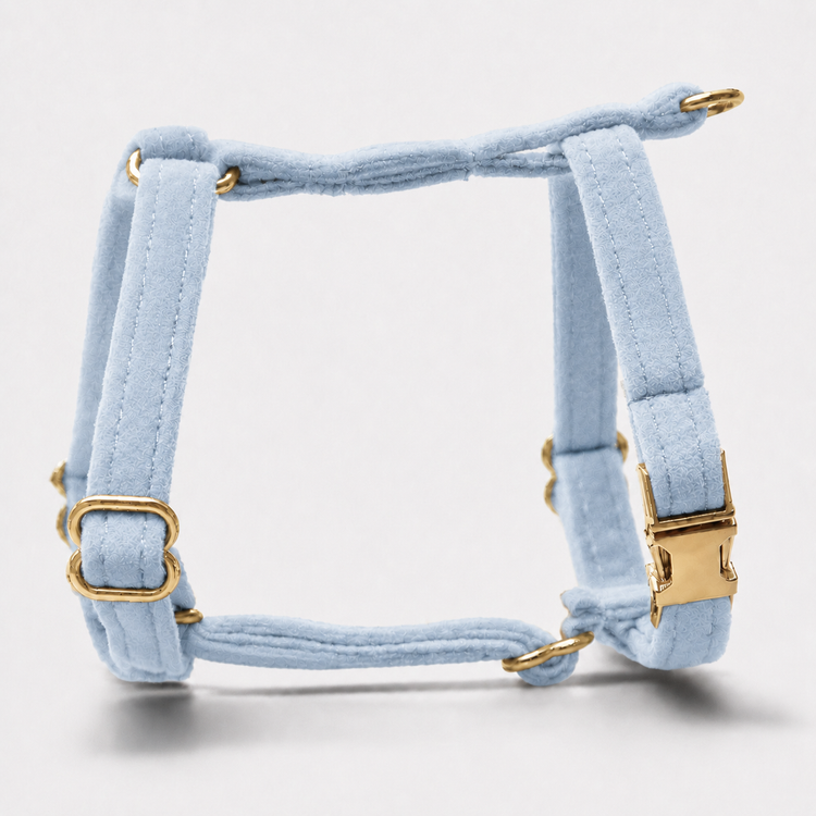 Hundsele Petit Soft Sky