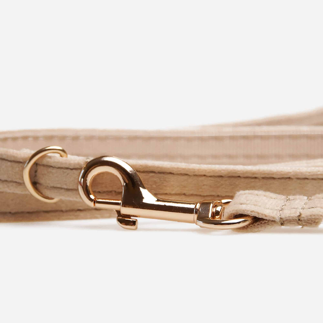 Hundkoppel Petit Soft Champagne 180cm Don Lorino
