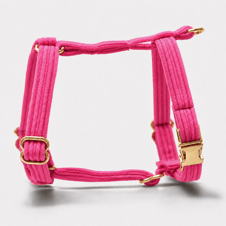 Hundsele Petit Pop Pink