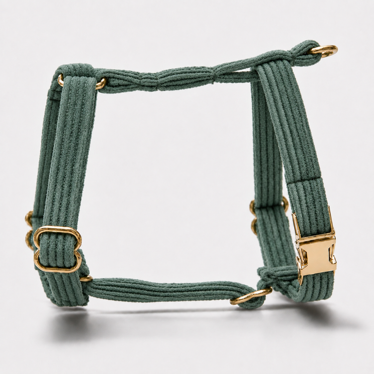 Hundsele Petit Pop Green