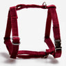 Hundsele Petit Soft Burgundy Don Lorino
