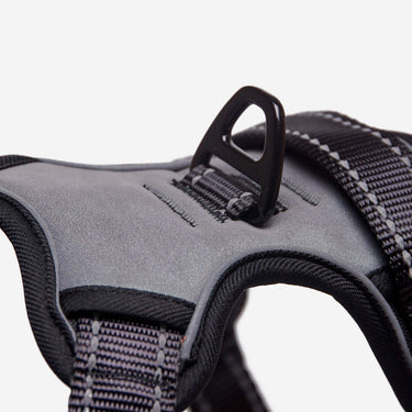 Hundsele Reflex Dusty Grey Don Lorino