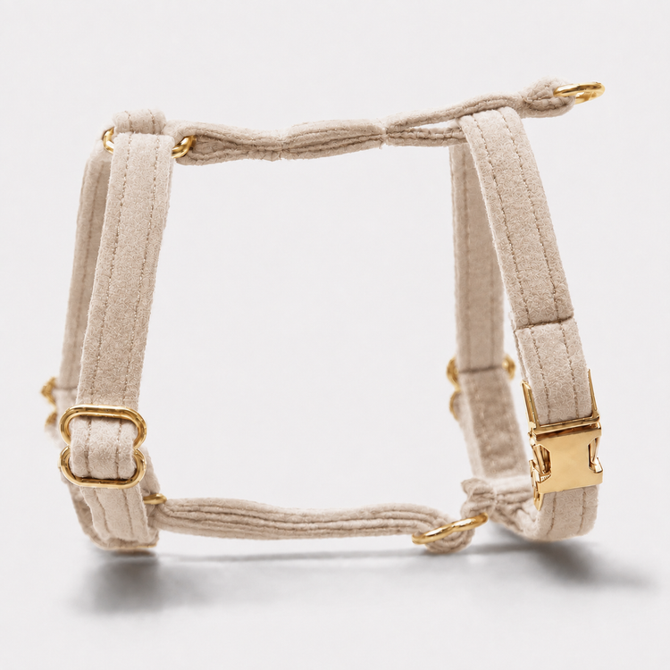 Hundsele Petit Soft Champagne