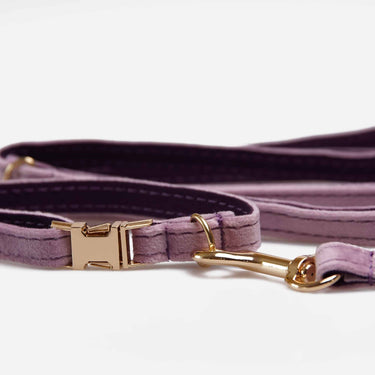 Hundhalsband Petit Soft Lavendel Don Lorino