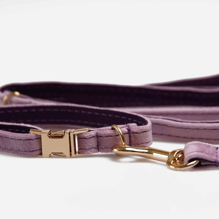 Hundhalsband Petit Soft Lavendel Don Lorino